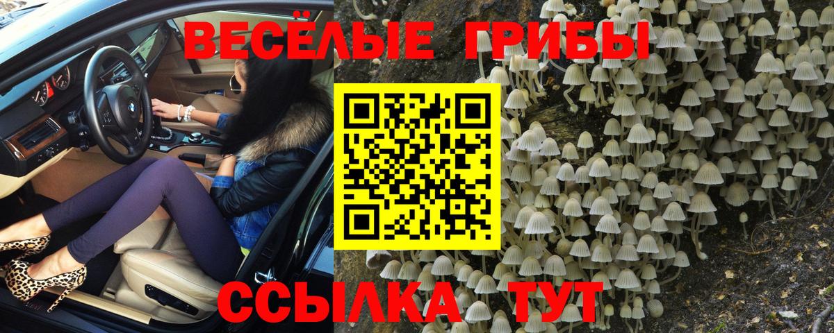 Галлюциногенные грибы Magic Shrooms Домодедово