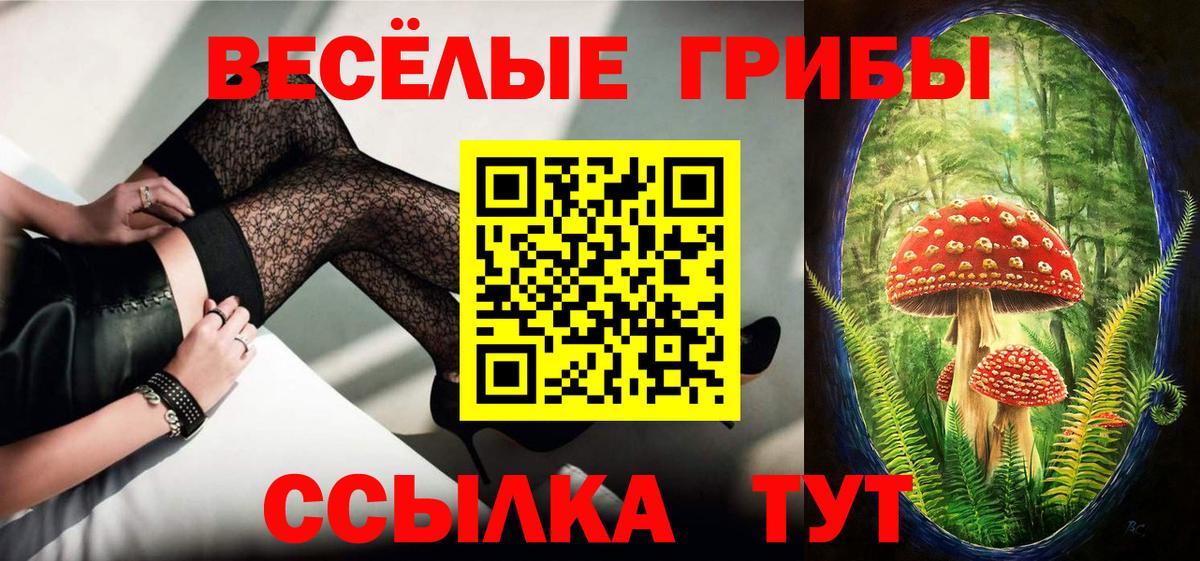 Домодедово  Галлюциногенные грибы MAGIC MUSHROOMS  Вход с VPN 